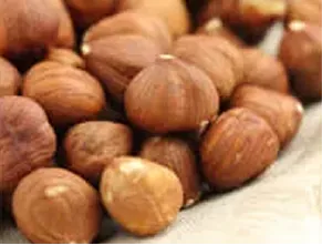 �ء�����ʥå�
