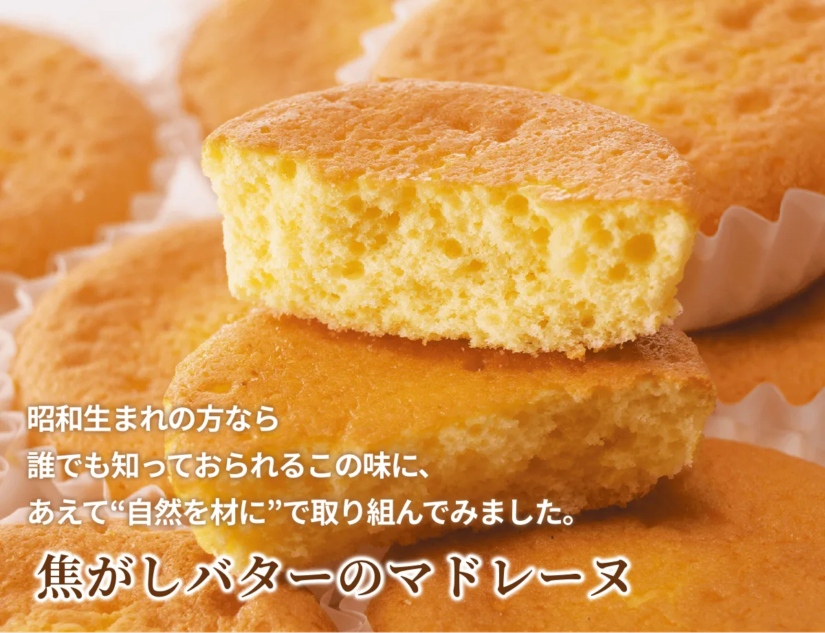 �Ǥ����Х����Υޥɥ졼��