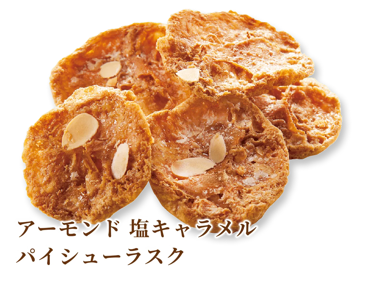 �������ɱ�������� �ѥ����塼�饹��