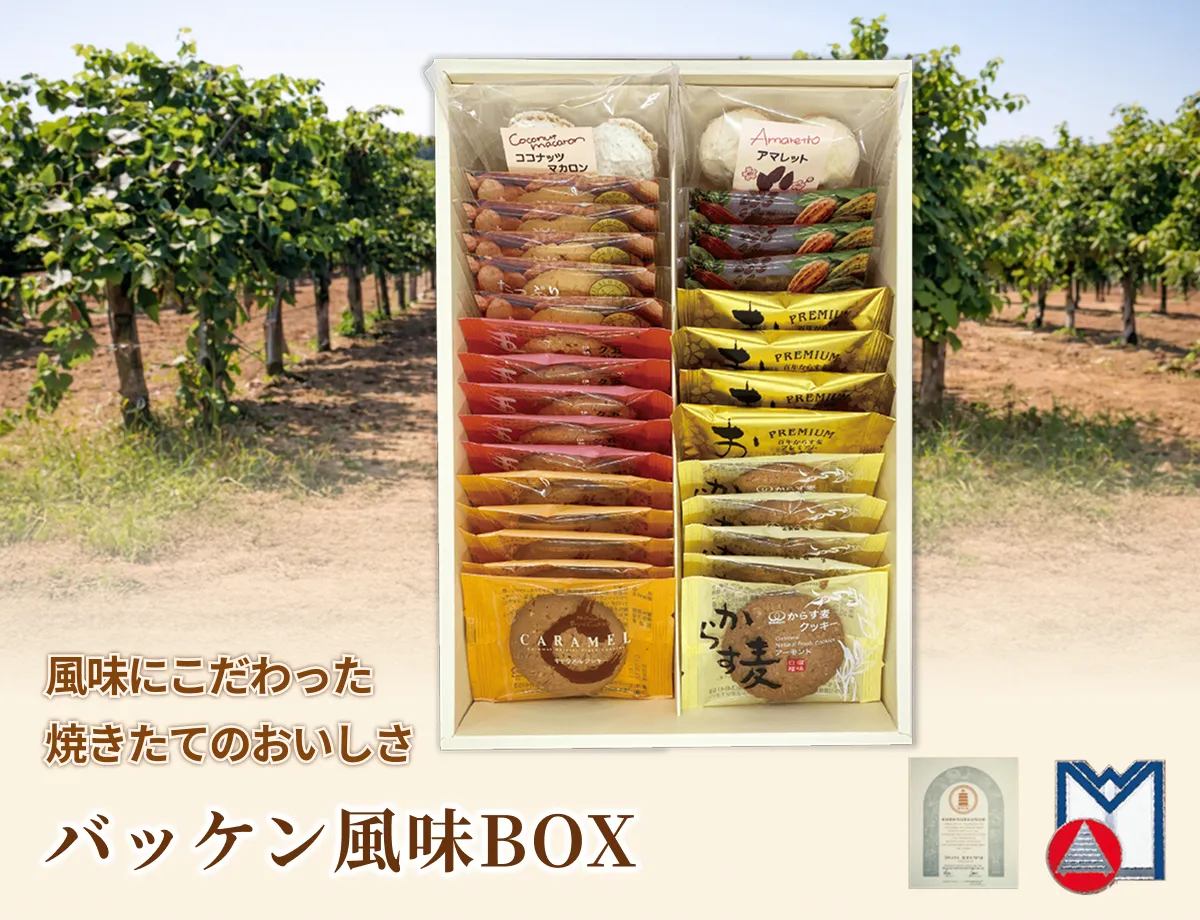 �Хå�����̣BOX
